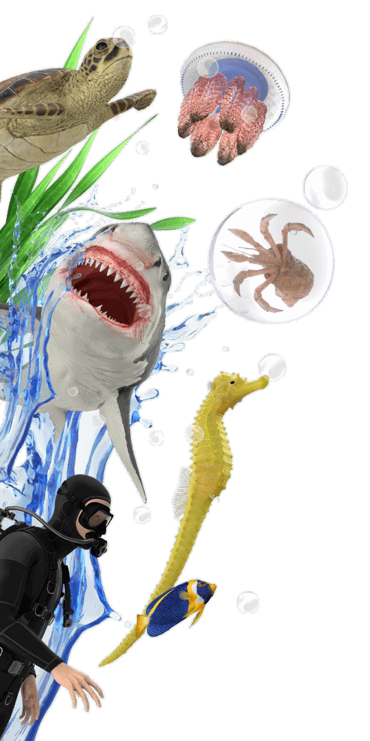 Kids Pass illustrative Family days out banner image