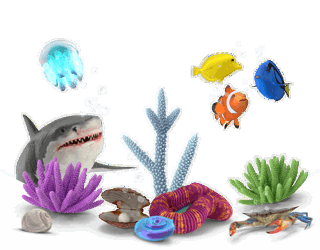 An illustrative Aquariums image.