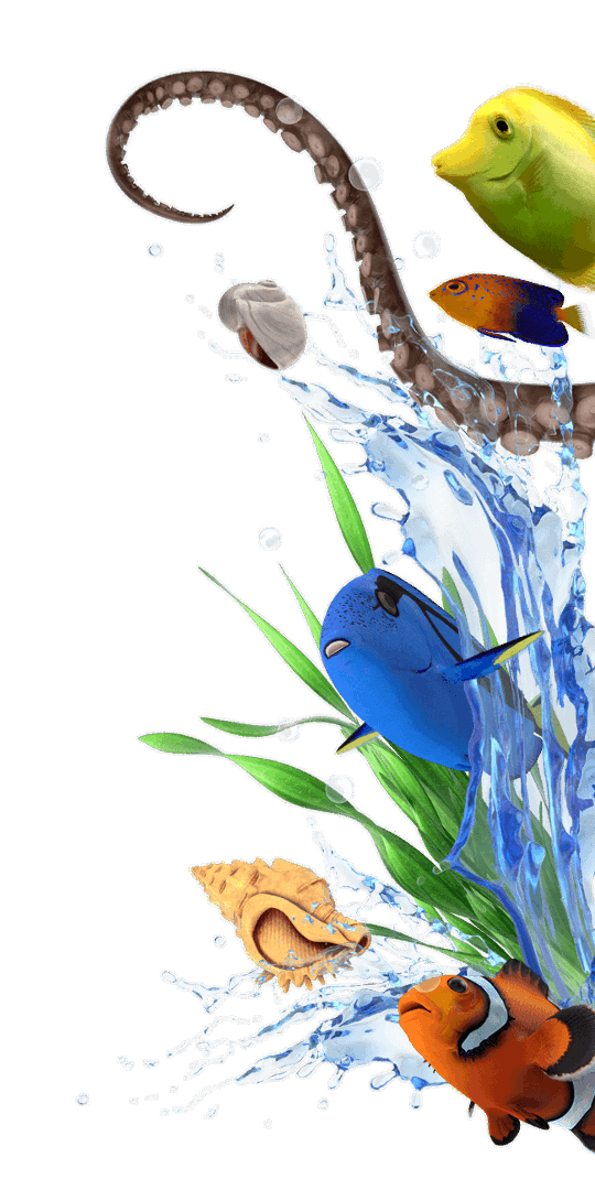 Kids Pass illustrative category banner image
