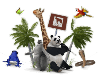 An illustrative Zoos image.