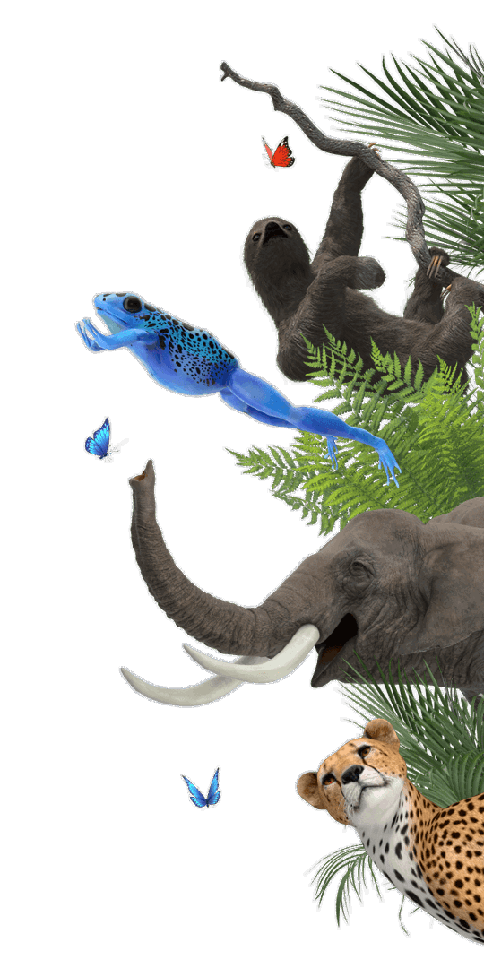 Kids Pass illustrative category banner image