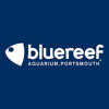 Blue Reef Aquarium Portsmouth Logo